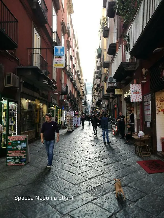 Ciuciu' Naples Apartment 0*,  Italy